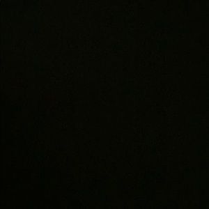 Meet your Posher, Leesa